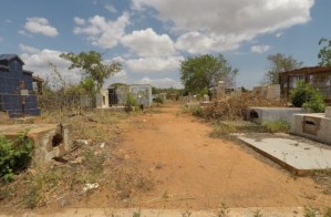 Entre el abandono y la profanación: Así se encuentran los cementerios del estado Zulia