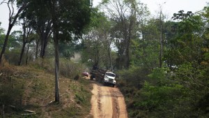 Narcotráfico y violencia: Huellas silenciadas de la deforestación en Suramérica