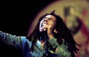 Los “hongos funcionales”, el negocio millonario del futuro que promueve la familia de Bob Marley
