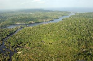 Brasil, la principal reserva hídrica del mundo, perdió más de tres millones de hectáreas con agua dulce