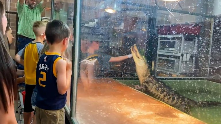 Aterrador momento en que un caimán atacó a su cuidadora durante una fiesta infantil en EEUU (Imágenes sensibles)