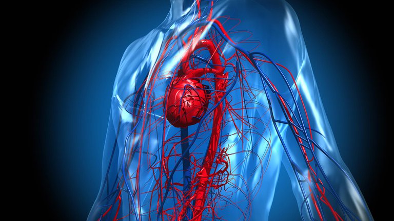 Coge dato: Compararte con los demás puede afectar tu salud cardiovascular