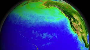 El cambio climático ha provocado inestabilidad en las corrientes del océano Atlántico