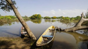 Hampa y escasez de combustible sentencian a muerte producción de pesca artesanal en La Ceiba