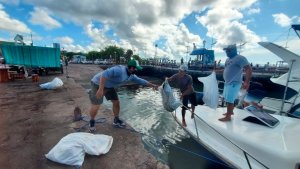Recolectaron una tonelada y media de desechos en las islas ecuatorianas de Galápagos (FOTOS)