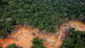 Venezuela perdió el 28% de sus bosques en la Amazonia por el cambio climático
