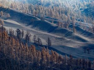 Las emisiones de azufre obligan a confinar a más de 30.000 personas en La Palma