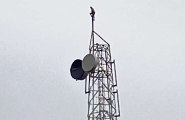 Trepó hasta la punta una antena de Cantv de 60 metros en Boca de Uchire
