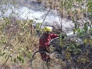 Al menos 31 incendios forestales registrados en Barquisimeto en primeros días de 2022
