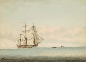 Polémica tras el supuesto hallazgo del Endeavour, el famoso barco del capitán Cook