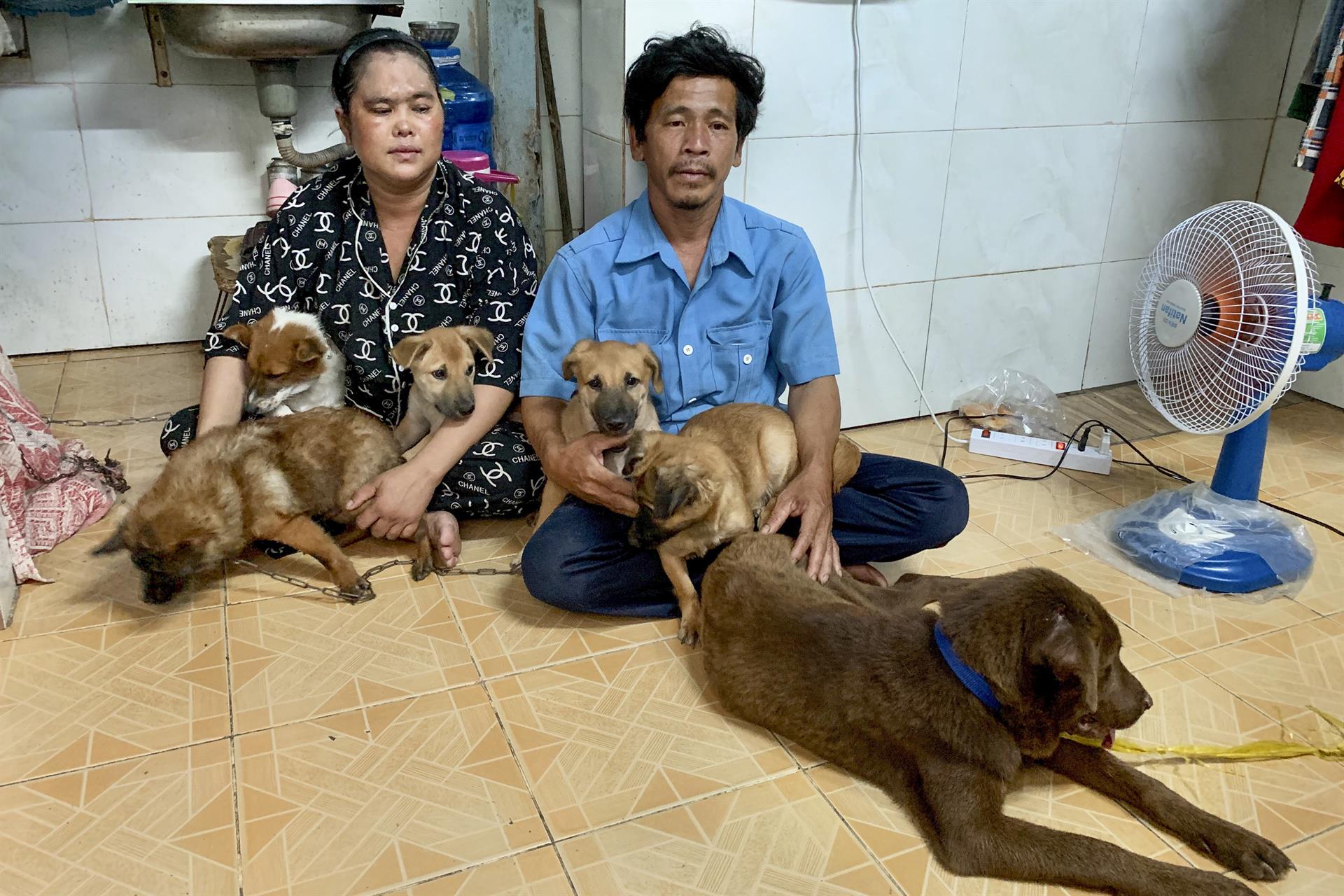 El trauma de la pareja que sacrificó a sus trece perros por Covid-19 (Foto y Video)