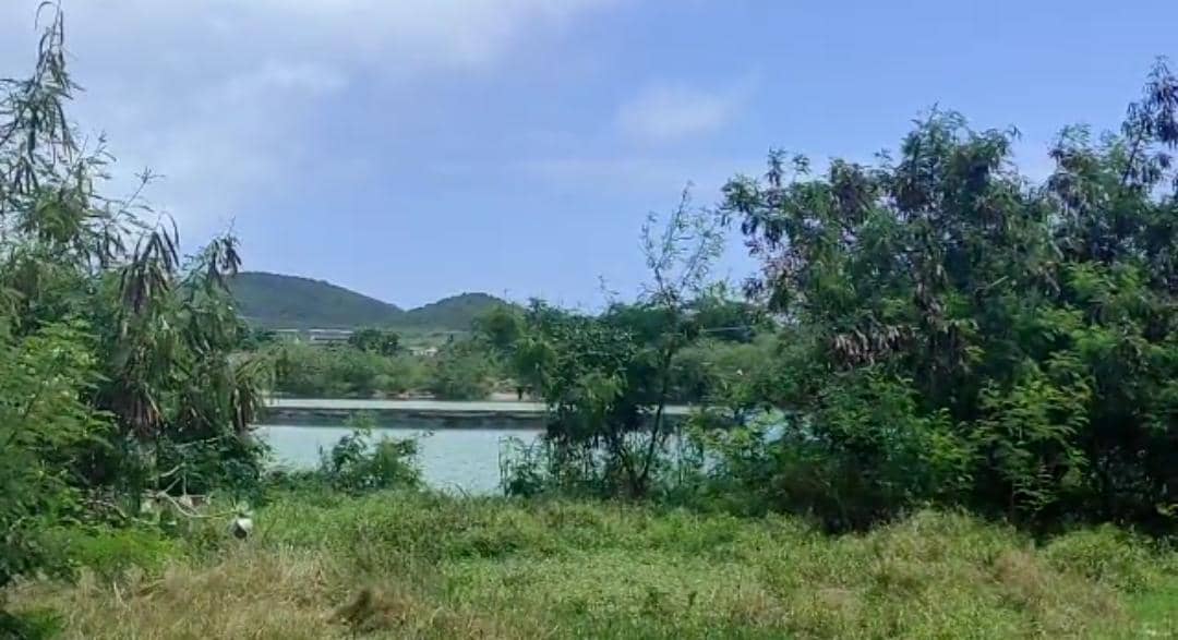 Precariedad en plantas de tratamiento impacta borde costero de la isla de Margarita