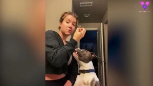 VIRAL: Morirás de ternura al ver un perro pedir a su dueña que lo maquille en EEUU (VIDEO)