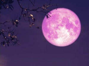 Feng Shui: cómo alinear las energías de la Luna Rosa
