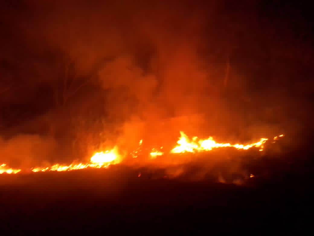 Incendio consumió un Kilómetro de vegetación en Mamporal