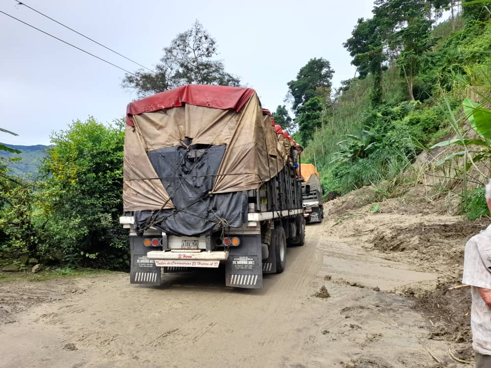 Deslaves, vías afectadas y familias evacuadas: los estragos de las fuertes lluvias en Táchira