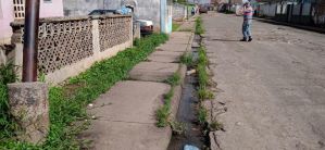 “El olor es putrefacto en las calles”: Vecinos de barrio en Upata claman reparación de cloacas