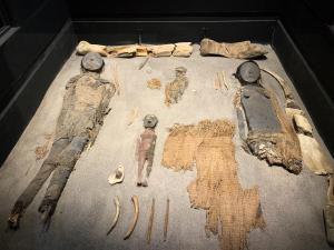 Las momias más antiguas del mundo buscan un nuevo hogar
