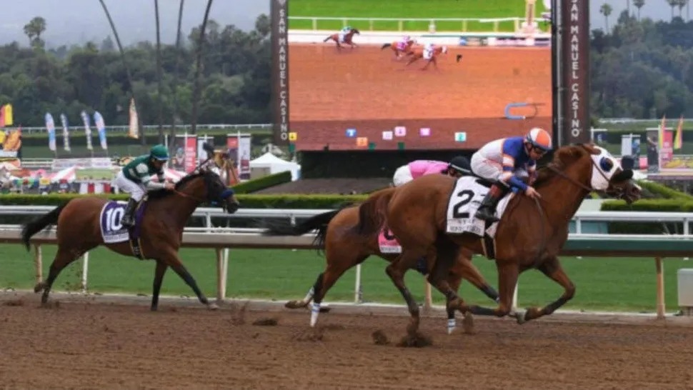 Se metió en la pista del hipódromo en plena carrera y murió atropellada por un caballo