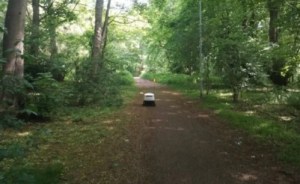VIRAL: Un hombre que paseaba por un bosque se cruzó con un robot “perdido”