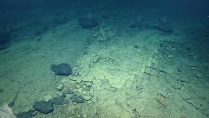 Un “camino de baldosas amarillas”, hallazgo en lo profundo del Pacífico que asombra a la comunidad científica (VIDEO)