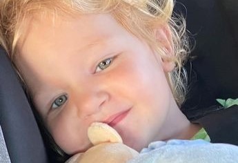 Le faltaba trozos de oreja: Cachorros mutilaron a su hija de cuatro años en California