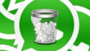 Cómo borrar el caché de WhatsApp y qué beneficios trae al celular