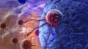 La ciencia avanza contra el cáncer: prueban con éxito una vacuna para eliminar tumores resistentes