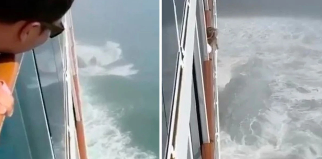 EN VIDEO: Crucero chocó contra un iceberg y un pasajero asustado logró filmar el momento