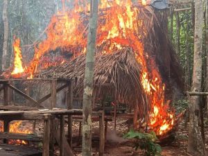 Destruyen campamento dedicado al soporte de narco aviones en Amazonas (FOTOS)