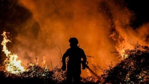 Qué son los incendios de sexta generación, como los que arrasan el sur de Europa