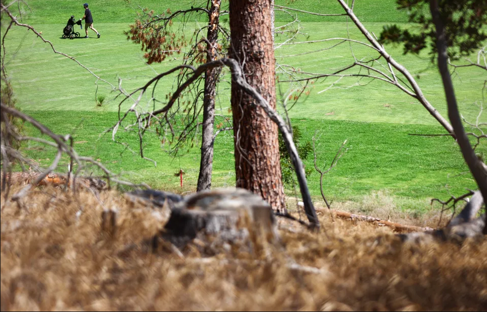 ¡Terror en EEUU! Hallan cuerpo de mujer colgado y en llamas en árbol de un parque