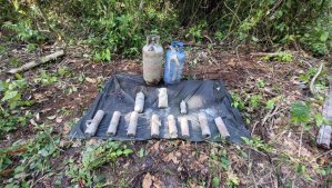 Desactivan más de 10 artefactos explosivos en municipio de Apure fronterizo con Colombia