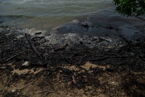 Clima21 advirtió sobre deterioro continuo de los ecosistemas costeros de Venezuela