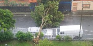 Tormenta derrumbó un árbol y bloqueó calle en Colinas de Santa Mónica, en Caracas