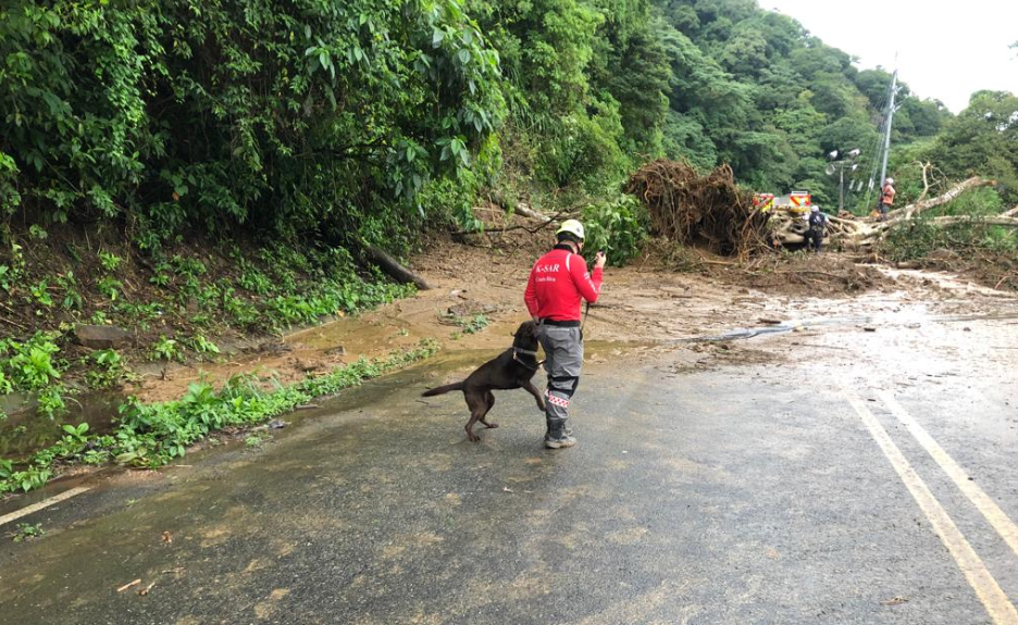 Múltiples muertos luego que un autobús cayera al vacío en Costa Rica