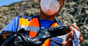 Perú declara en emergencia zona de Amazonía por derrame de petróleo