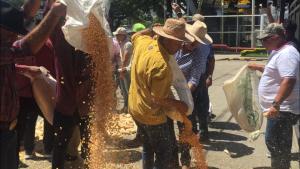 Productores de maíz protestaron para exigir precios justos del rubro