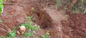 Hallaron nueva fosa común con más osamentas humanas en otra mina ilegal de Bolívar