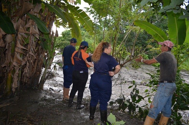 Gran plantación de aguacate en Yaracuy se perdió por rotura de dique