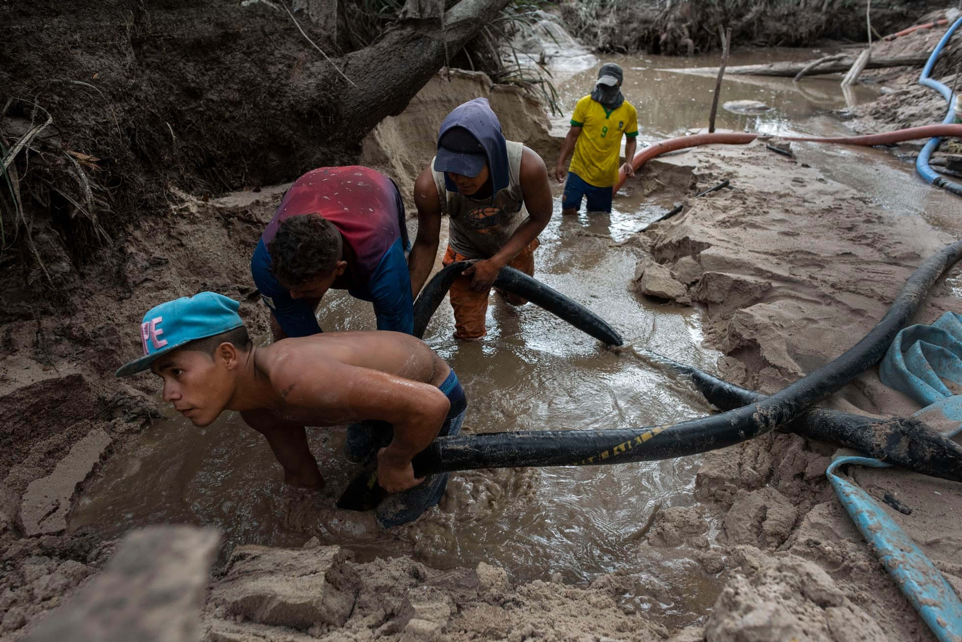 Cuantifican cómo la minería y la deforestación revivieron la malaria en Venezuela