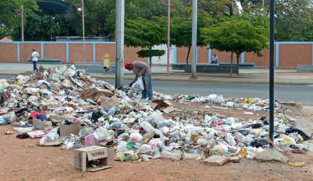 Entre moscas y malos olores, zulianos suplican limpieza y sanciones a los tira basura