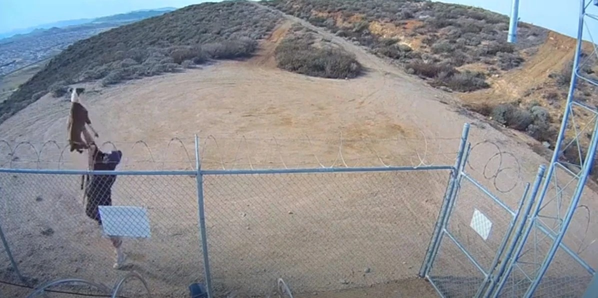 Captan en VIDEO el atroz momento cuando hombre lanza a pitbull por encima de alambrado de púas en California