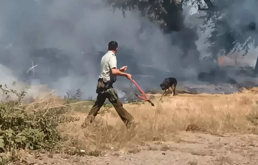 Héroe en Chile: arriesgó su vida para rescatar a un perro encadenado en medio de un incendio (Fotos)