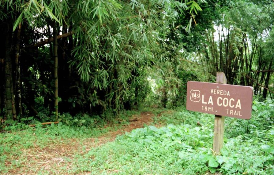 Adolescente estadounidense murió bajo extrañas circunstancias en un bosque de Puerto Rico