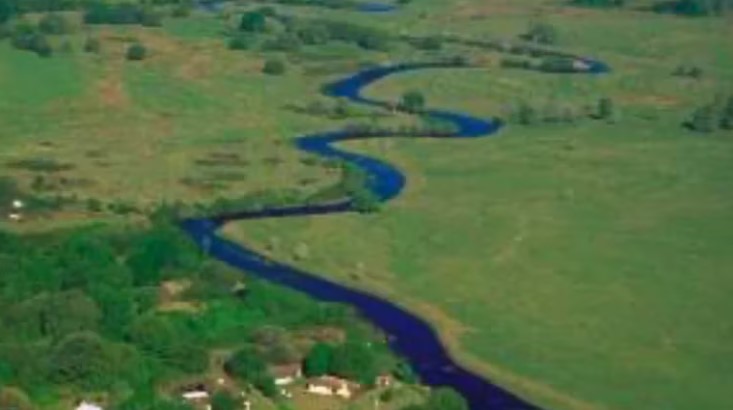 Restauran un río en la Florida, revitalizando el hábitat natural de más de 140 especies de animales