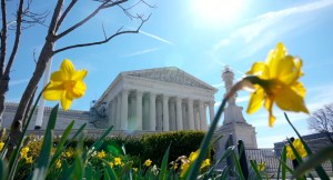 Corte Suprema de EEUU se prepara para decidir sobre acceso a píldora abortiva (Video)