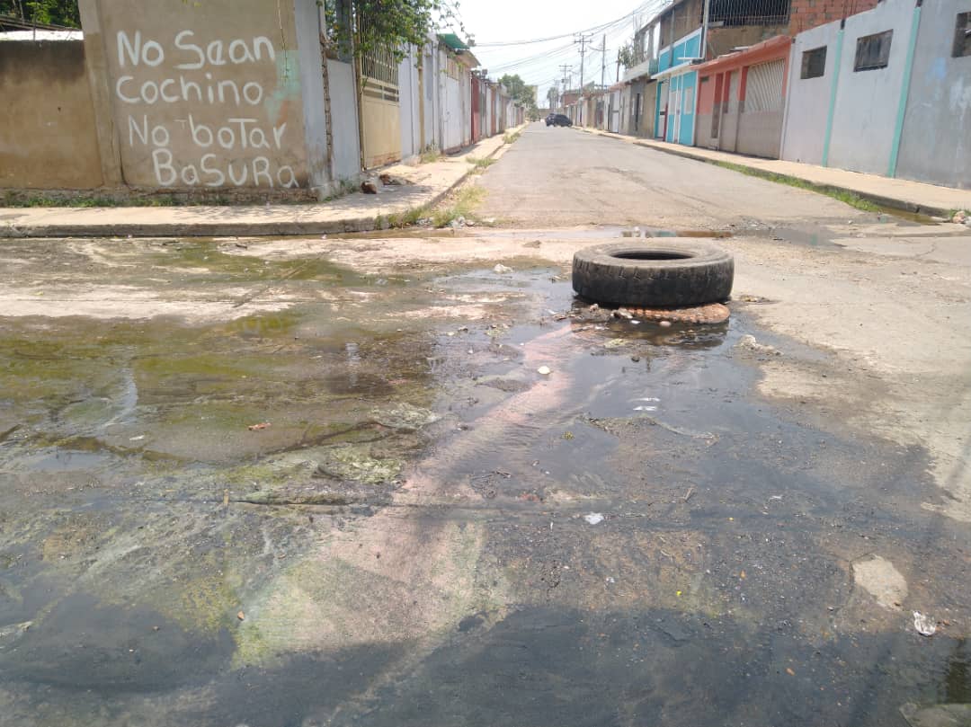 Anzoátegui: “Ríos” de aguas piches tienen a hogares en Barcelona hediondos a “mapurite”