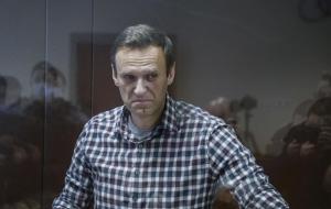 Relatora de la ONU sobre Rusia, preocupada por la desaparición de Navalni en manos del régimen de Putin