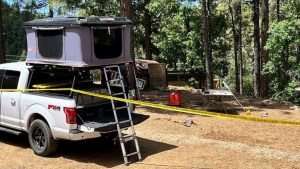 Ataque salvaje en Arizona: Fue mutilado hasta la muerte por un oso mientras bebía café